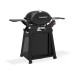 Weber Q2800N + STAND PREMIUM plynový gril